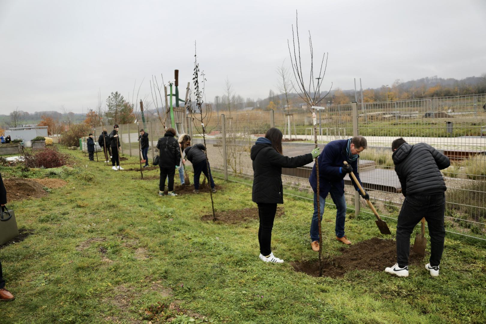 Grouss Bamplanzaktioun am Lycée Bel-Val